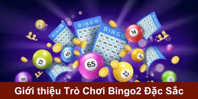 Khám phá về trò chơi bingo2 cho người mới bắt đầu