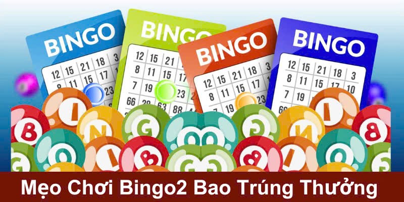 Mẹo chơi bingo bất bại mà tân binh cần ghi nhớ