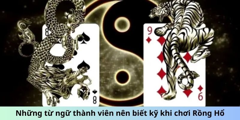 Những từ ngữ thành viên nên biết kỹ khi chơi Rồng Hổ